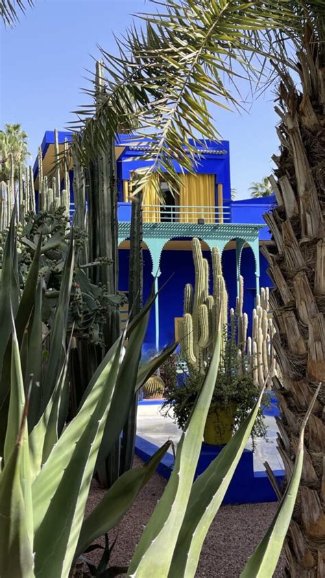 ysl gardens entrance fee|What to See in the Majorelle Garden Marrakech (YSL Garden).